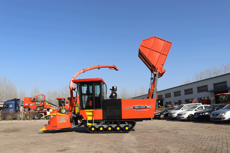 Cosechadora de forraje de alfalfa sobre orugas Cosechadora de forraje de alfalfa sobre orugas
