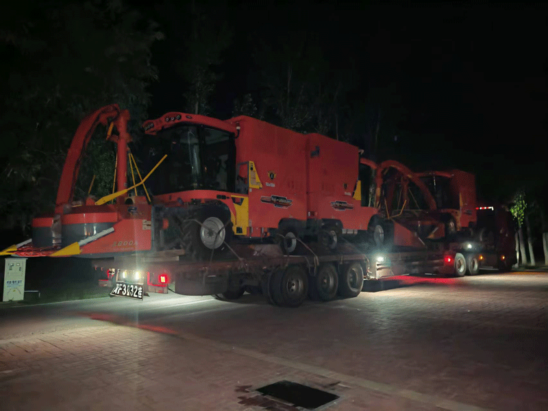 Temporada alta de máquinas ensiladoras: ¡Ayudando a la mecanización agrícola mundial! Temporada alta de máquinas ensiladoras: ¡Ayudando a la mecanización agrícola mundial!