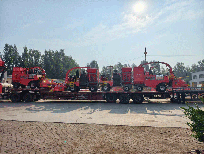 Listo para Entrega: La Cosechadora de Forraje Senrui 4QZ-2000C se envía completamente ensamblada, ¡aumentando la eficiencia para las granjas ganaderas!