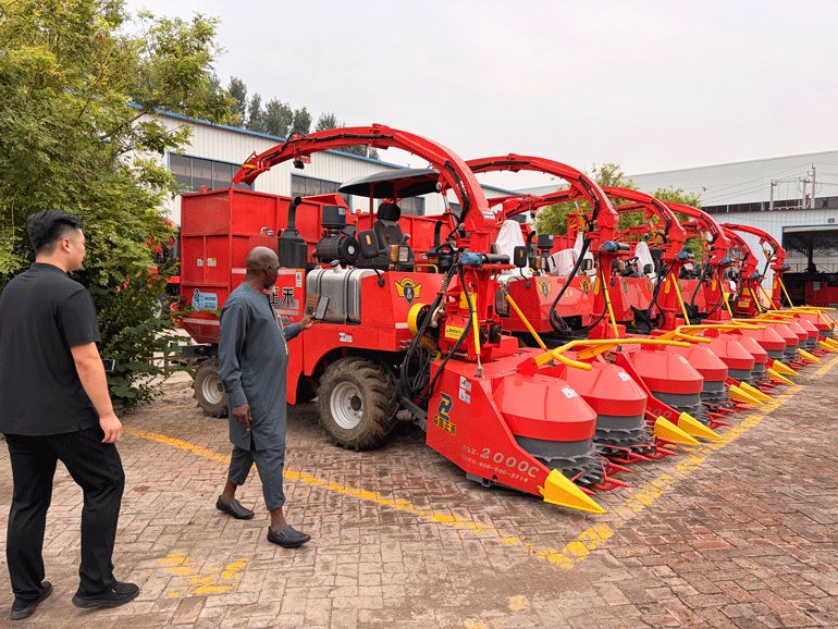 Clientes en el extranjero visitan los equipos agrícolas y ganaderos de Senrui para explorar nuevas oportunidades de cooperación internacional en maquinaria agrícola.